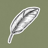 Black and white feather sticker design element
