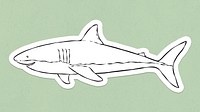 Great white shark sticker psd