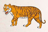 Angry tiger walking around psd sticker