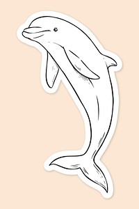 Vector dolphin vintage black and white clipart