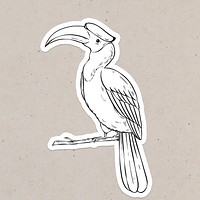 Psd cartoon sticker hand drawn hornbill clipart black and white