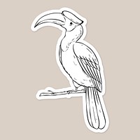 Vector hornbill vintage black and white clipart