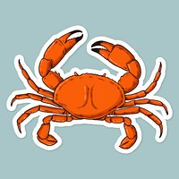 Cartoon sticker crab hand drawn vintage clipart