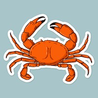 Vector cartoon sticker crab hand drawn vintage clipart