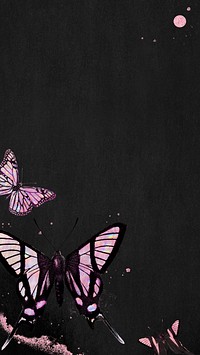 Pink holographic butterfly on a black background