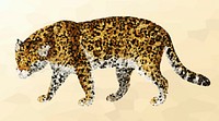 Crystallized style jaguar illustration design element