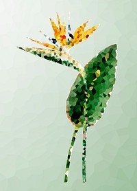 Crystallized bird of paradise flower illustration