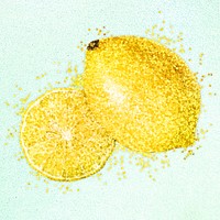 Glitter lemon fruit illustration