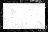 Black leaf frame white background