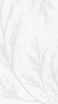 Spruce twig wintery phone wallpaper