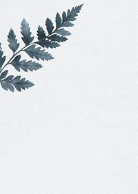 Leatherleaf fern background text space