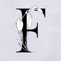 Vector font f letter watercolor typeface