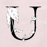 Font u vintage letter floral typography