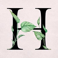 Floral h letter font vector romantic typography