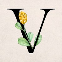Floral v letter font vector romantic typography