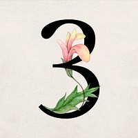 Number 3 font vintage typography