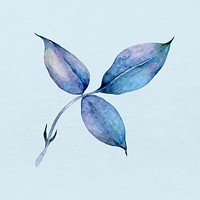 Blue hand drawn watercolor leaf botanical illsutration 