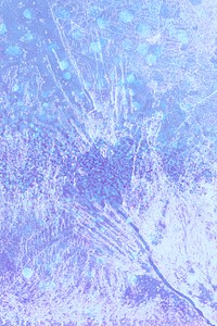 Ice crystal texture background copy space