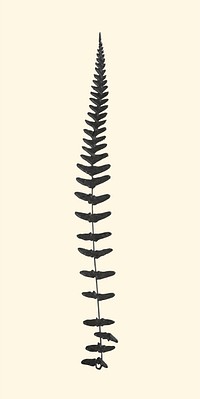 Vector black fern leaf vintage illustration sticker
