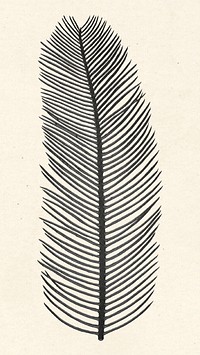 Psd black palm leaf vintage illustration sticker
