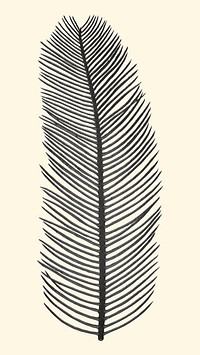 Vector black palm leaf vintage illustration sticker