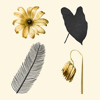 Flowers and leaf vector gold and black hand drawn botanical sticker set