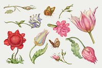 Vintage flowers vector illustration floral drawing set, remix from The Model Book of Calligraphy Joris Hoefnagel and Georg Bocskay