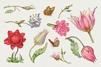 Vintage illustration floral drawing set, remix from The Model Book of Calligraphy Joris Hoefnagel and Georg Bocskay