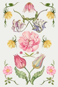 Vintage blooming flower illustration vector set, remix from The Model Book of Calligraphy Joris Hoefnagel and Georg Bocskay