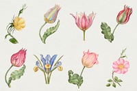 Vintage flower illustration floral drawing set, remix from The Model Book of Calligraphy Joris Hoefnagel and Georg Bocskay
