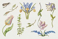 Vintage flower psd illustration floral drawing set, remix from The Model Book of Calligraphy Joris Hoefnagel and Georg Bocskay
