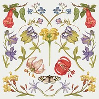 Wild flower blossom vector illustration hand drawn set, remix from The Model Book of Calligraphy Joris Hoefnagel and Georg Bocskay