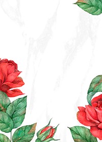 Blooming rose border invitation card