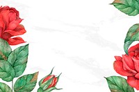 Red rose border frame social media banner background