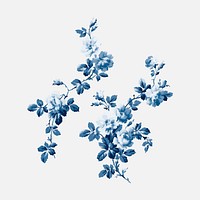 Vector blue wild rose flower vintage illustration