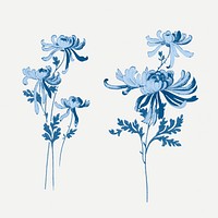 Psd blue chrysanthemums flower vintage illustration