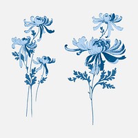 Vector blue chrysanthemums flower vintage illustration