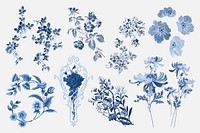 Vector colorful flower botanical illustration set