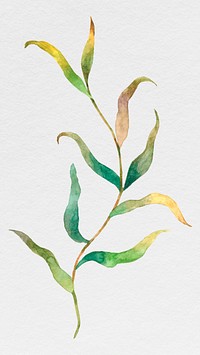 Watercolor leaves on branch psd