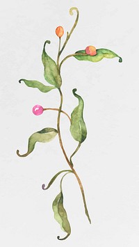 Watercolor blooming flower vector illustration