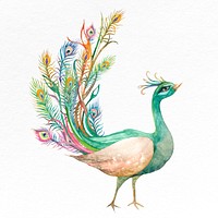 Beautiful watercolor green peacock illustration