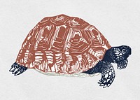Vintage animal turtle vector colorful stencil pattern