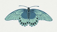 Blue moth vector vintage hand drawn illustration