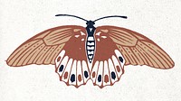 Brown moth vintage stencil pattern