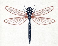 Vintage dragonfly linocut vector illustration