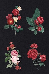 Luxury Valentine&#39;s red roses psd watercolor illustration set