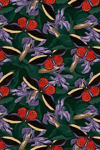 Butterfly floral abstract background vector with design space, remix from The Naturalist&#39;s Miscellany by George Shaw