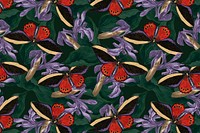 Abstract butterfly floral background with blank space, remix from The Naturalist&#39;s Miscellany by George Shaw