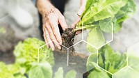 Smart farming green plant product agricultural technology blog banner