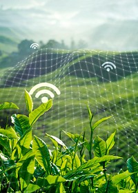 Smart farming 5.0 green plant product farming technology